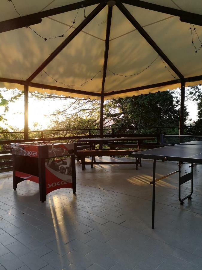 Agriturismo Il Noceto Assisi Exterior photo