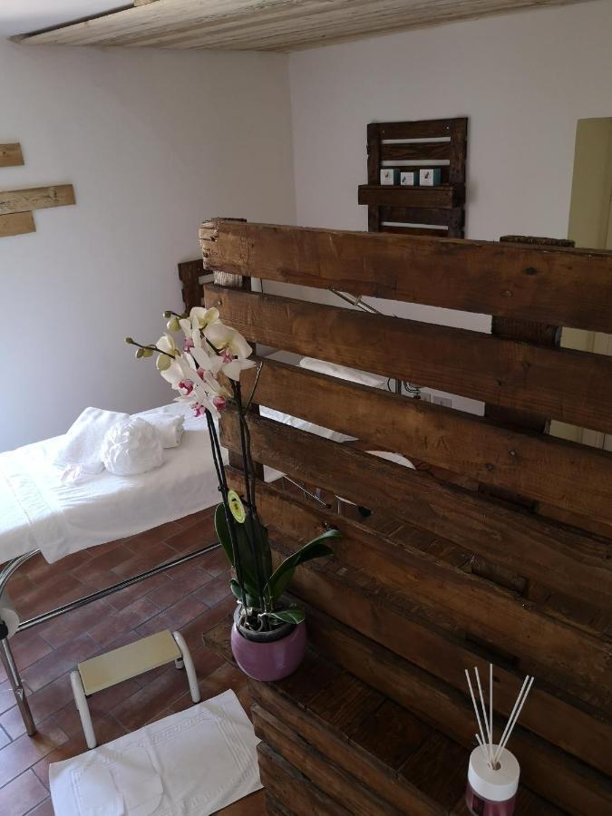 Agriturismo Il Noceto Assisi Exterior photo