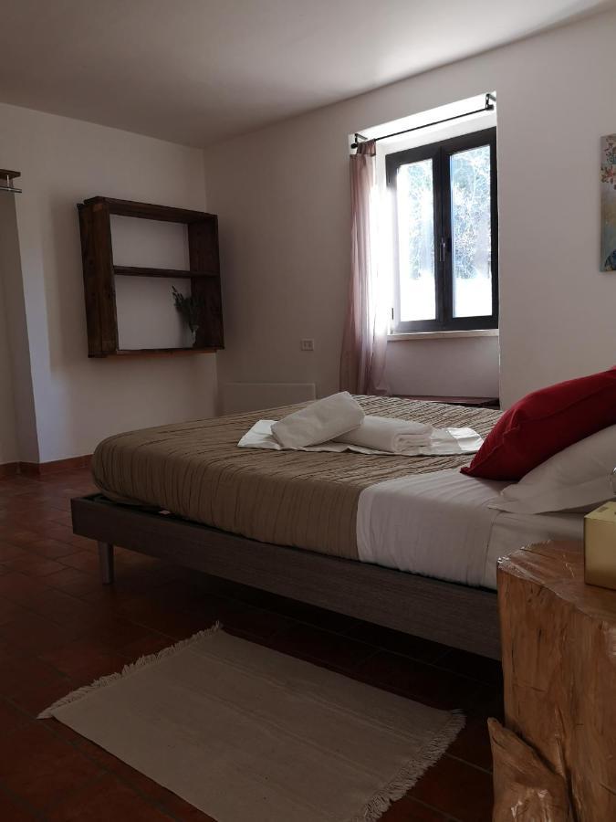 Agriturismo Il Noceto Assisi Exterior photo
