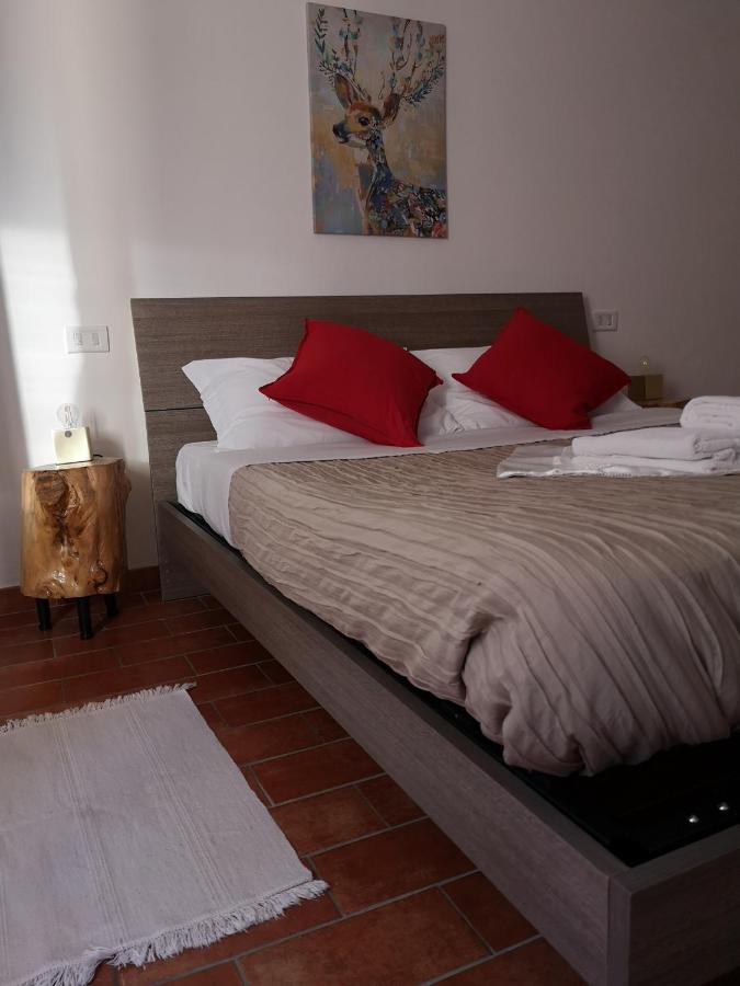 Agriturismo Il Noceto Assisi Exterior photo