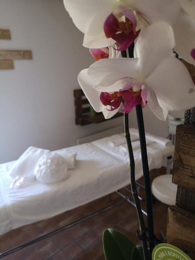 Agriturismo Il Noceto Assisi Exterior photo